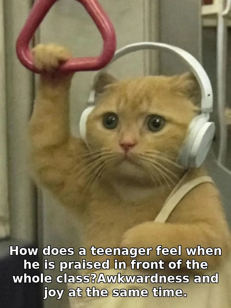How does a teenager feel when he is praised in front of the whole class?Awkward…