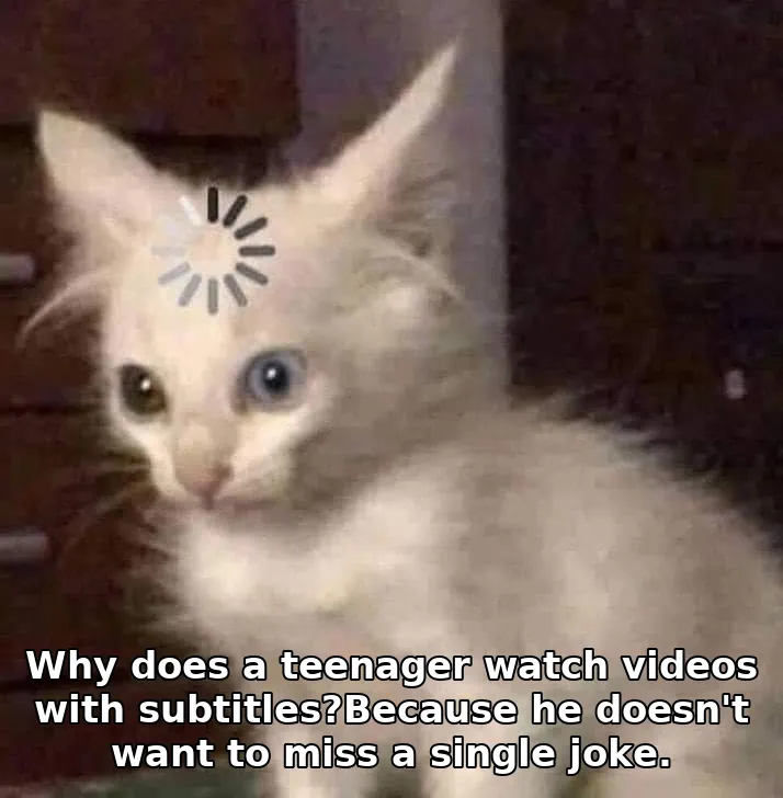 Why does a teenager watch videos with subtitles?Because he doesn't want to miss a single joke.
