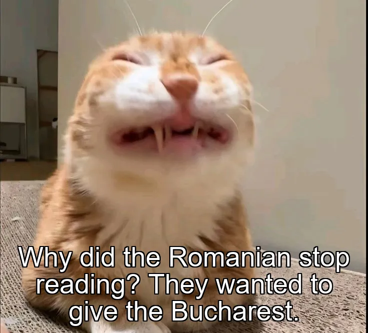 Why did the Romanian stop reading? They wanted to give the Bucharest.