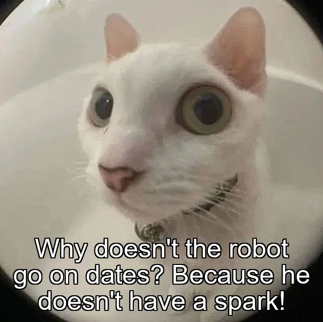 Why doesn't the robot go on dates? Because he doesn't have a spark!