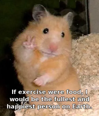 If exercise were food, I would be the fullest and happiest person on Earth.