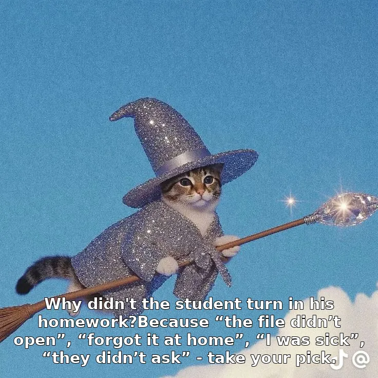 Why didn't the student turn in his homework?Because “the file didn’t open”, “forgot it at home”, “I was sick”, “they didn’t ask” - take your pick.