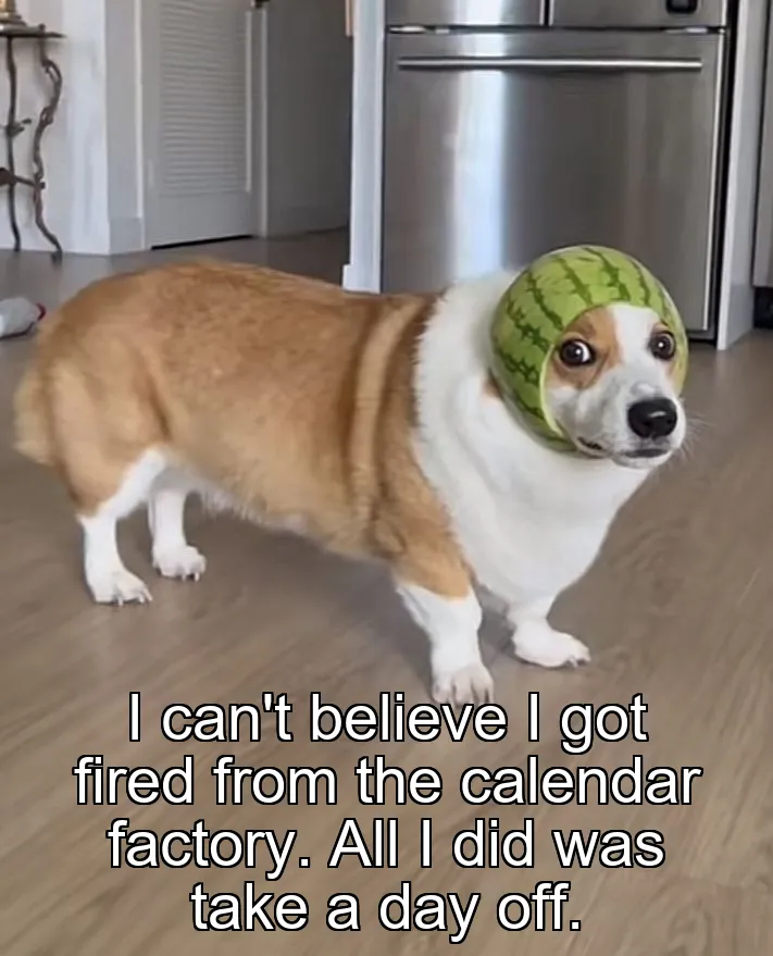 I can't believe I got fired from the calendar factory. All I did was take a day off.