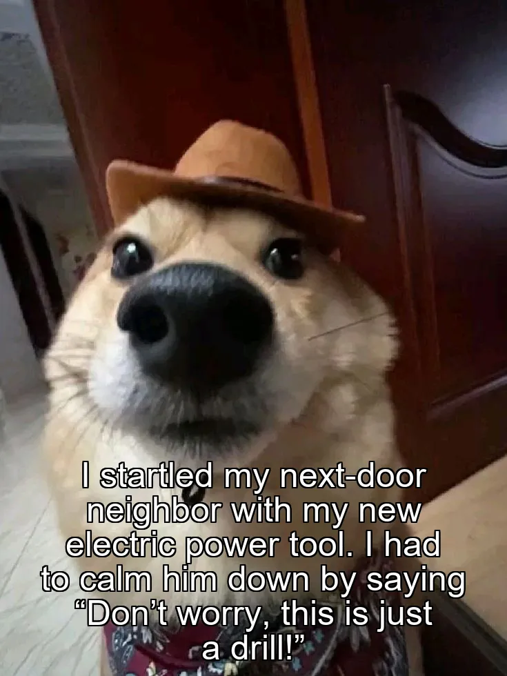 I startled my next-door neighbor with my new electric power tool. I had to calm…