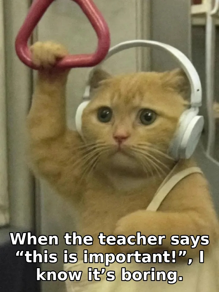 When the teacher says “this is important!”, I know it’s boring.