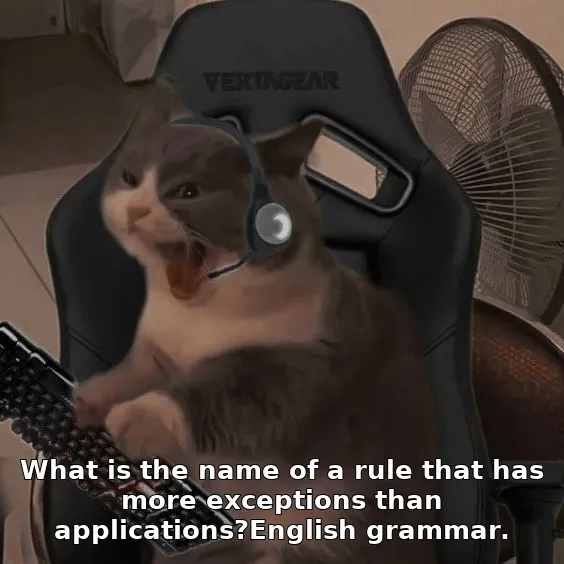 What is the name of a rule that has more exceptions than applications?English g…