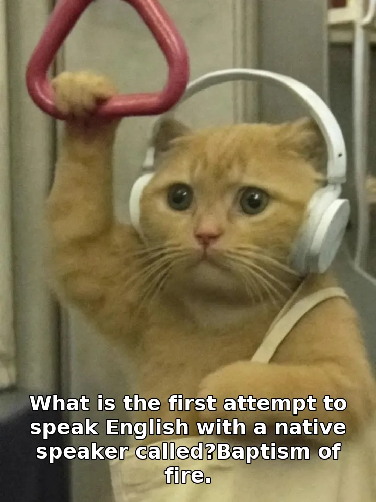 What is the first attempt to speak English with a native speaker called?Baptism of fire.