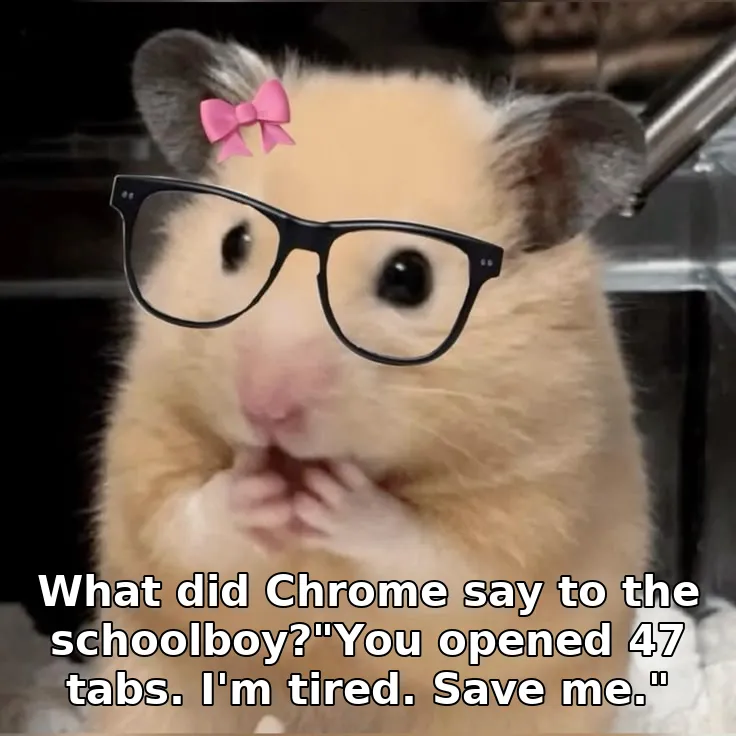 What did Chrome say to the schoolboy?"You opened 47 tabs. I'm tired. Save me."