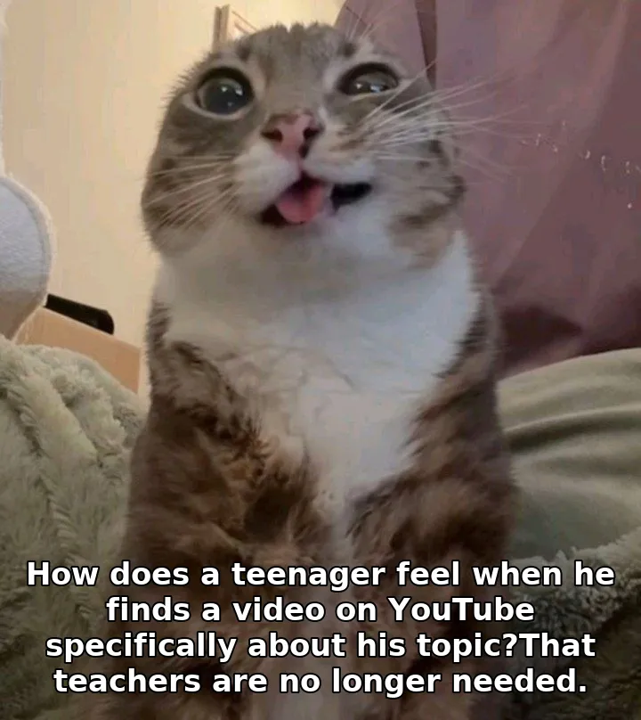 How does a teenager feel when he finds a video on YouTube specifically about hi…