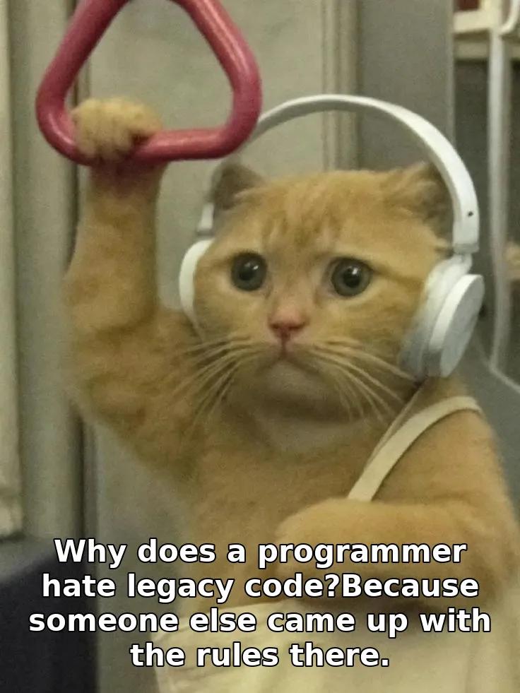 Why does a programmer hate legacy code?Because someone else came up with the rules there.