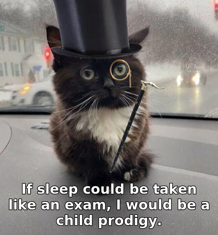 If sleep could be taken like an exam, I would be a child prodigy.