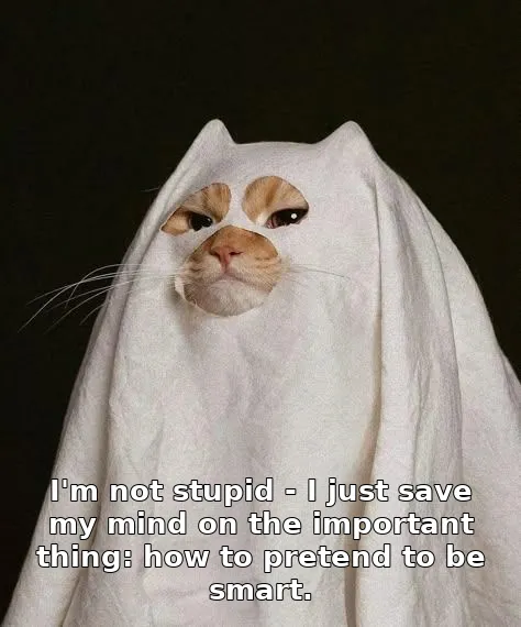 I'm not stupid - I just save my mind on the important thing: how to pretend to …