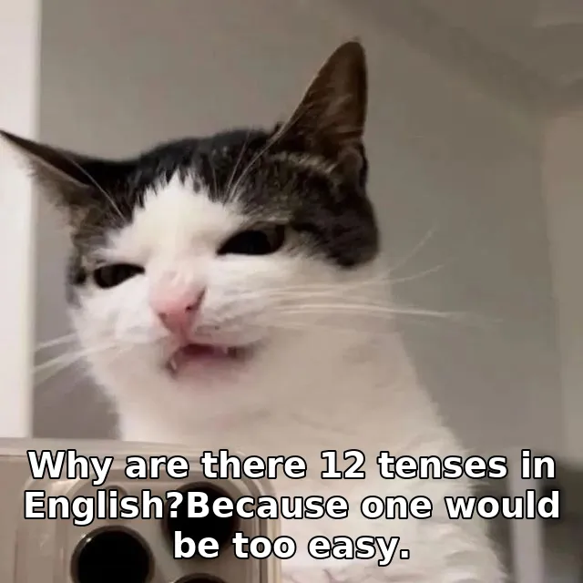 Why are there 12 tenses in English?Because one would be too easy.