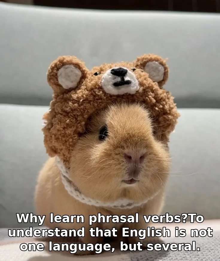 Why learn phrasal verbs?To understand that English is not one language, but sev…