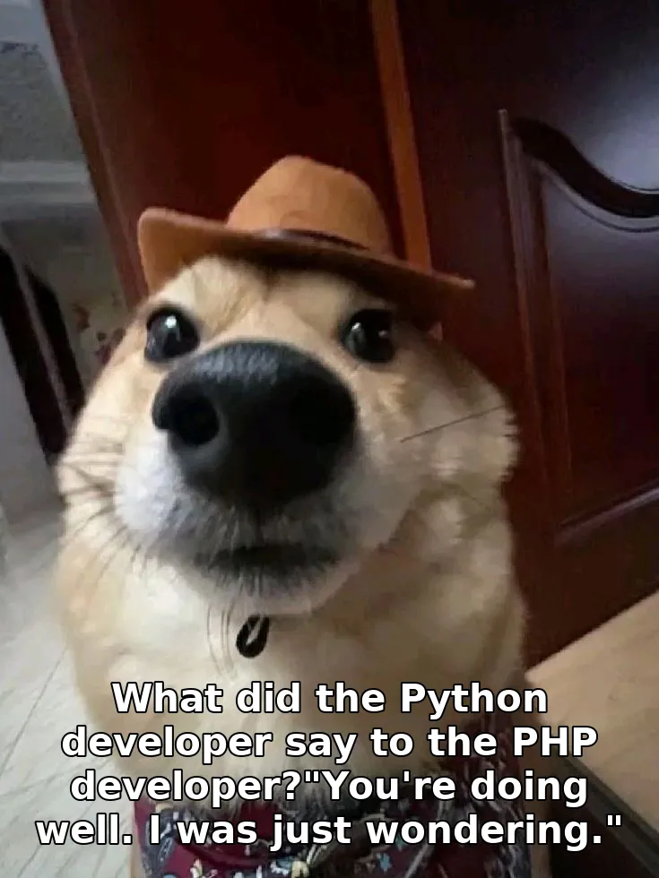 What did the Python developer say to the PHP developer?"You're doing well. I wa…