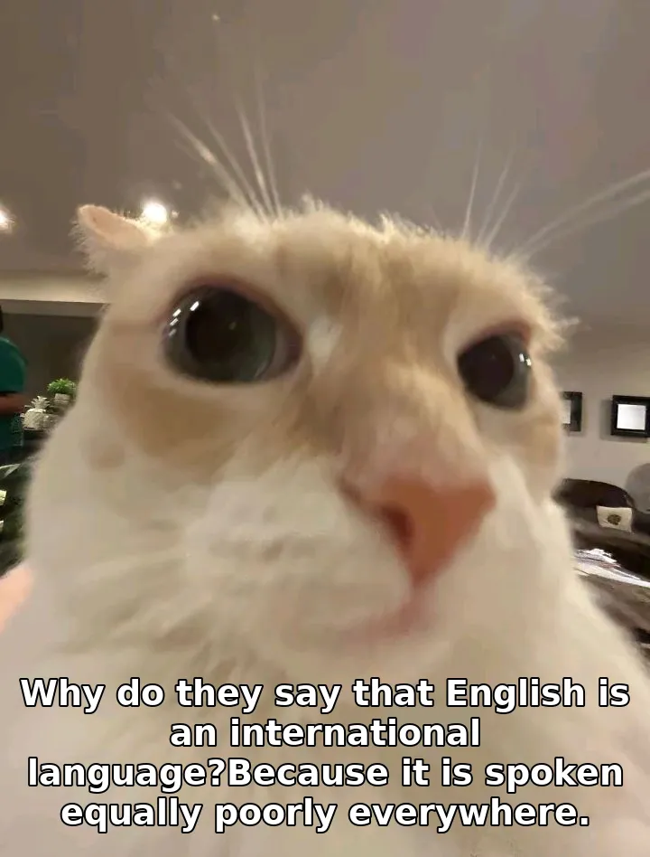 Why do they say that English is an international language?Because it is spoken …