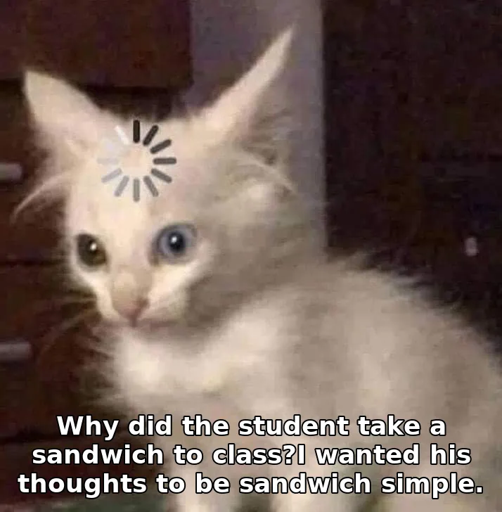 Why did the student take a sandwich to class?I wanted his thoughts to be sandwi…