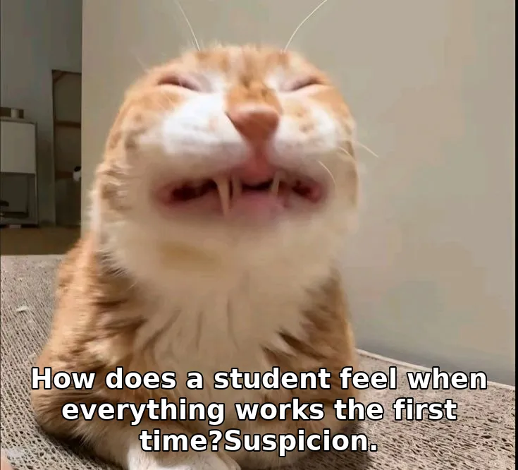 Meme image