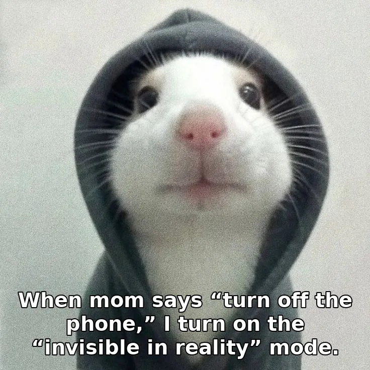 When mom says “turn off the phone,” I turn on the “invisible in reality” mode.