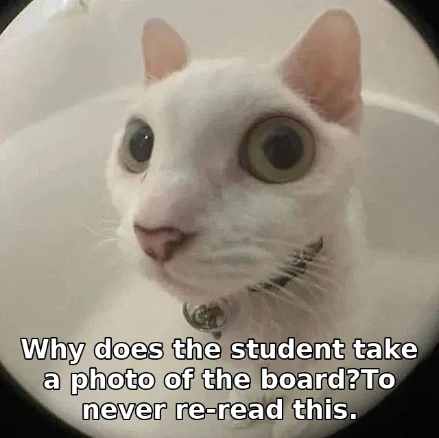 Meme image