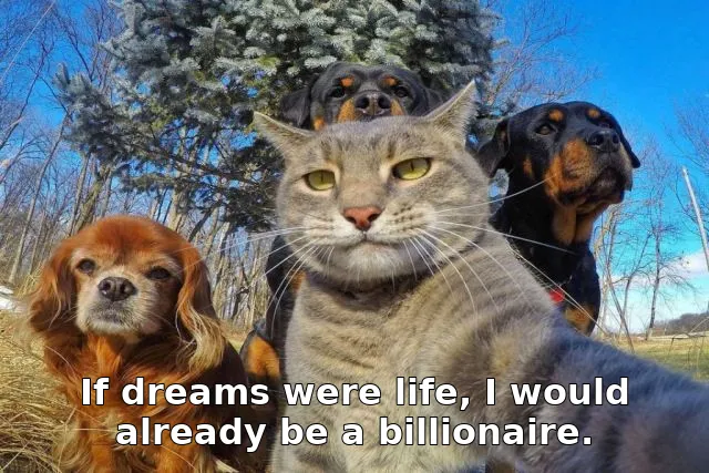 If dreams were life, I would already be a billionaire.