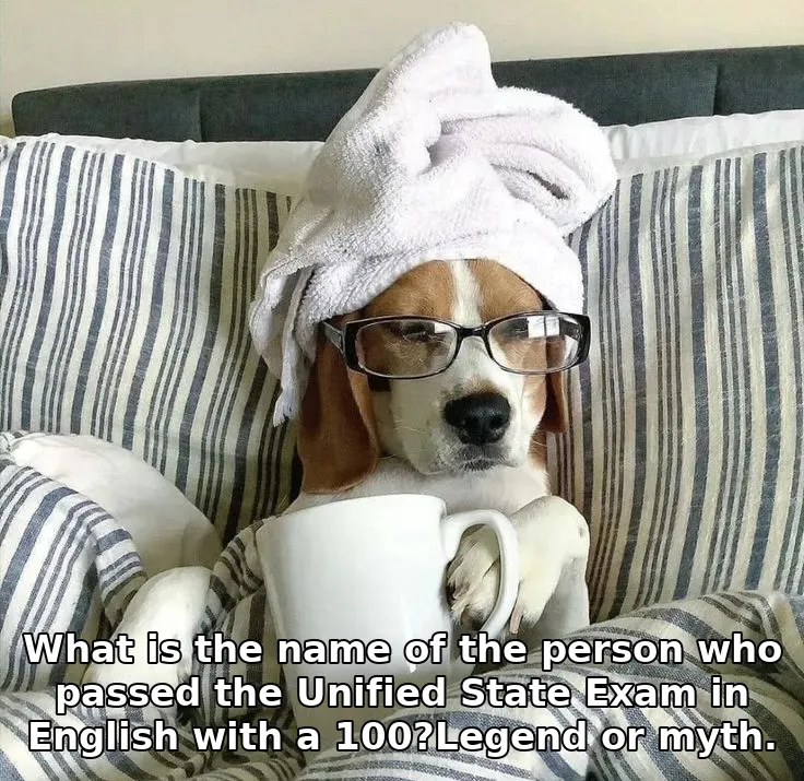 What is the name of the person who passed the Unified State Exam in English wit…
