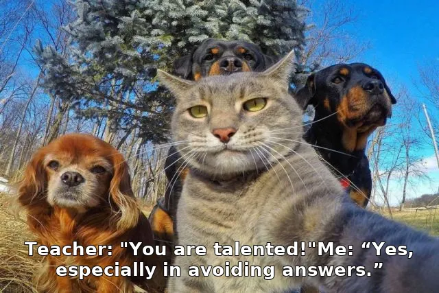Teacher: "You are talented!"Me: “Yes, especially in avoiding answers.”