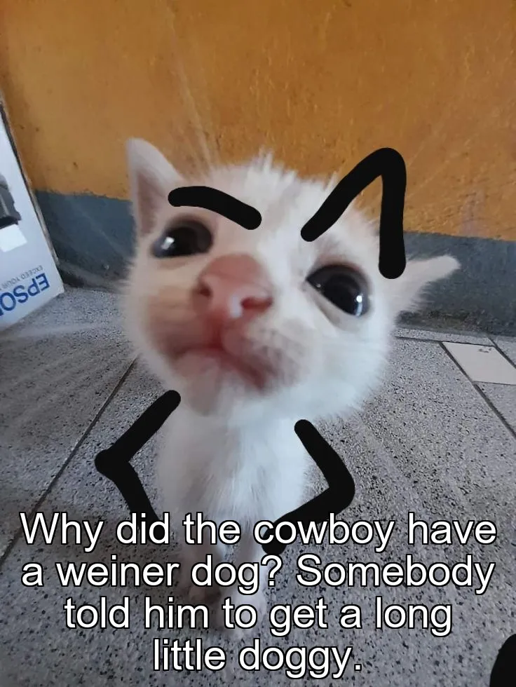 Why did the cowboy have a weiner dog? Somebody told him to get a long little do…