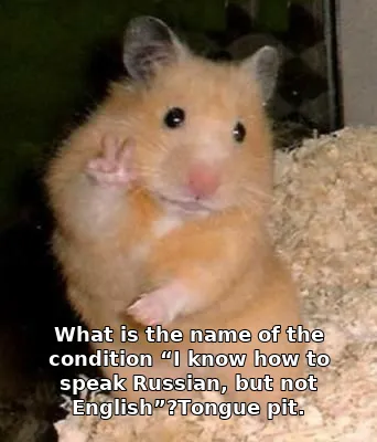 What is the name of the condition “I know how to speak Russian, but not English…