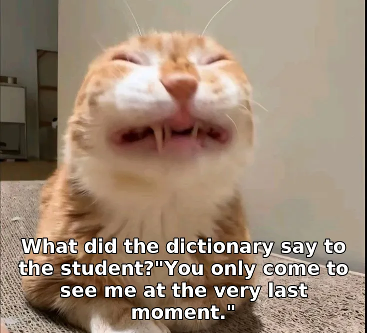 What did the dictionary say to the student?"You only come to see me at the very…