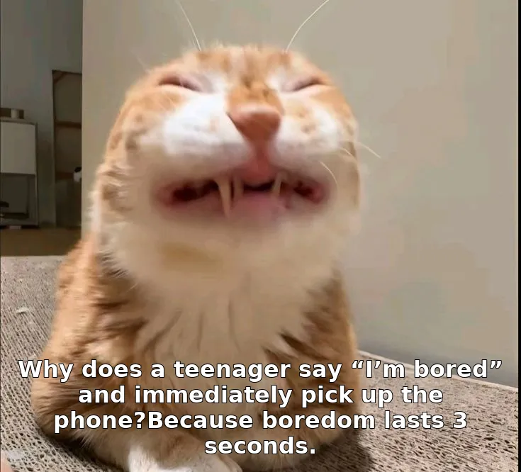 Why does a teenager say “I’m bored” and immediately pick up the phone?Because b…