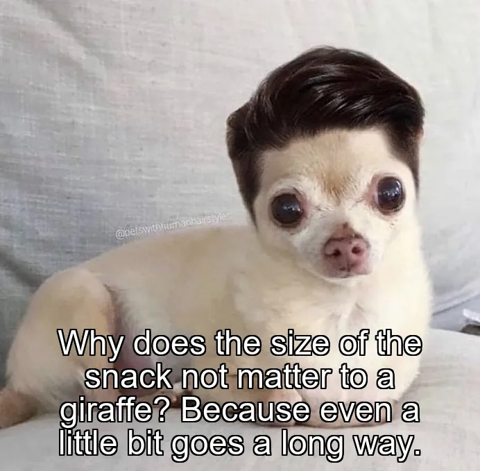 Why does the size of the snack not matter to a giraffe? Because even a little b…
