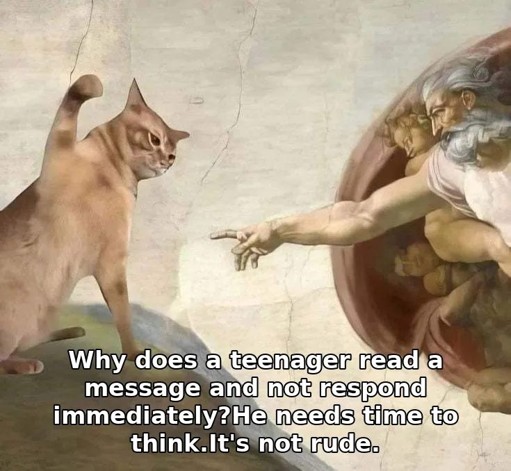 Why does a teenager read a message and not respond immediately?He needs time to…