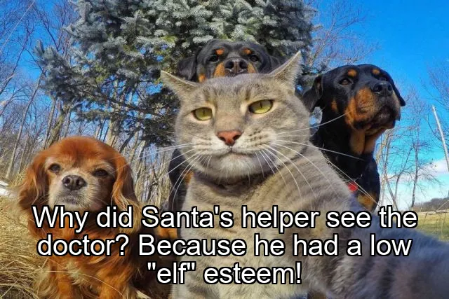 Why did Santa's helper see the doctor? Because he had a low "elf" esteem!