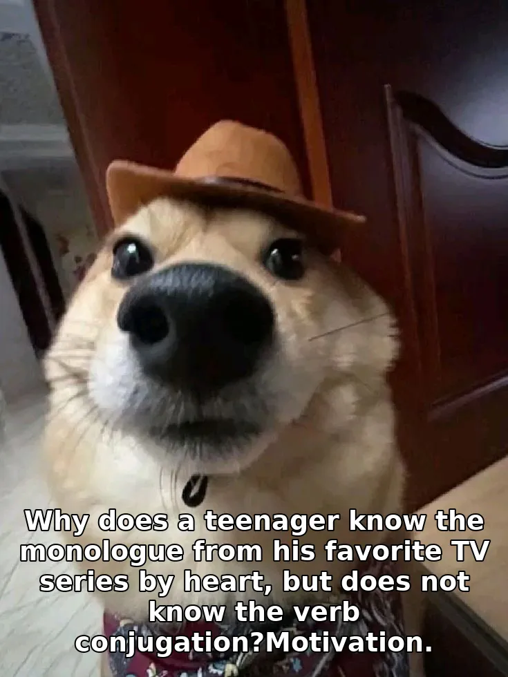 Why does a teenager know the monologue from his favorite TV series by heart, but does not know the verb conjugation?Motivation.