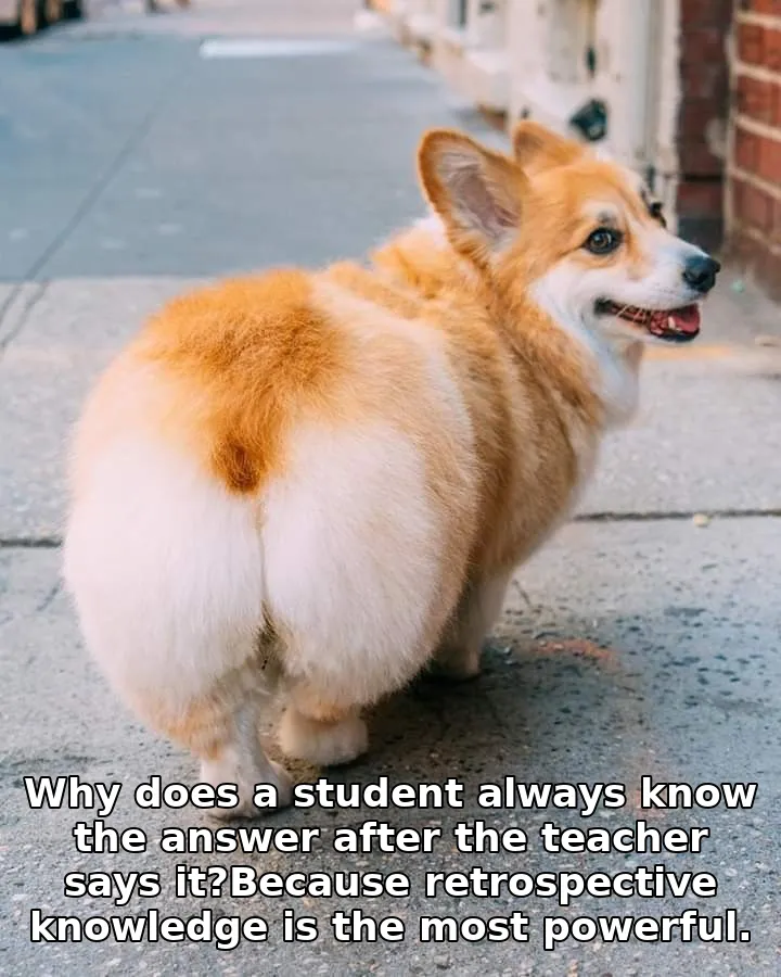 Why does a student always know the answer after the teacher says it?Because retrospective knowledge is the most powerful.