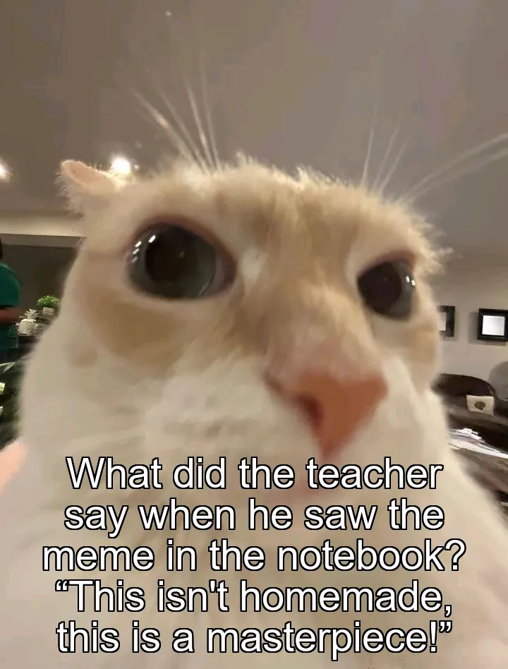 What did the teacher say when he saw the meme in the notebook? “This isn't home…