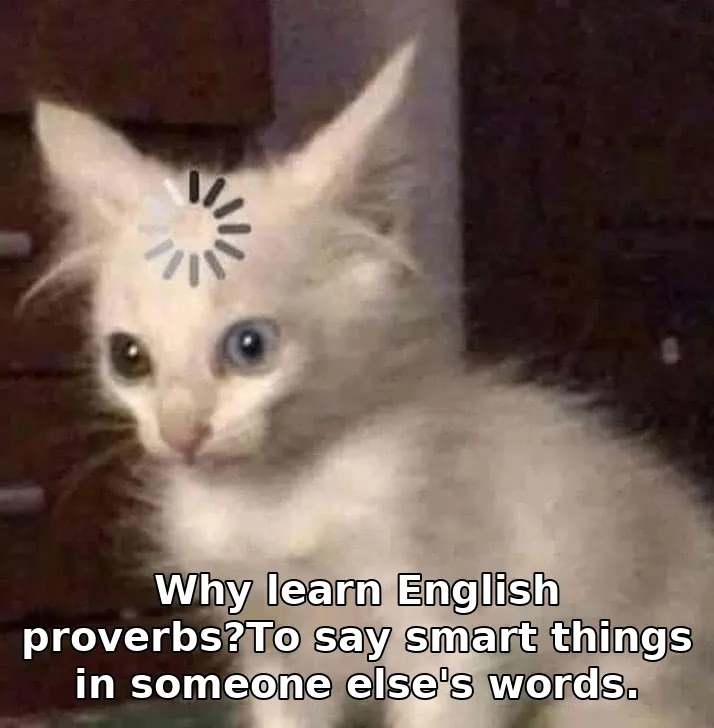 Why learn English proverbs?To say smart things in someone else's words.
