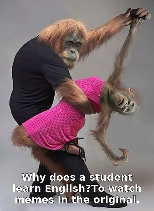 Why does a student learn English?To watch memes in the original.